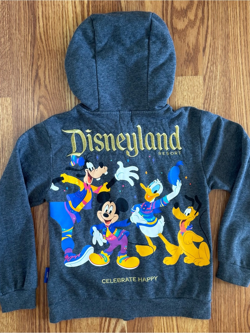 Disneyland Resort Youth 70th Anniversary "Celebrate Happy" Zip Hoodie
